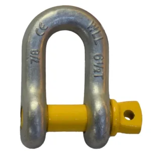 Voordele en Toepassings van die Amerikaanse Standaard Vlekvrye Staal D-sluiting